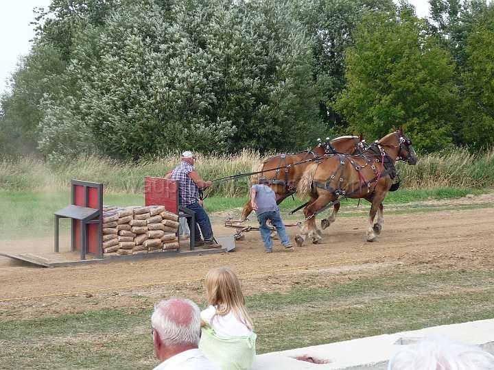 alto-fair-horse-pull-2009-485