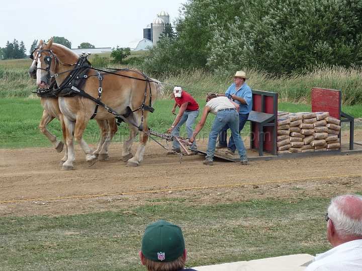 alto-fair-horse-pull-2009-487
