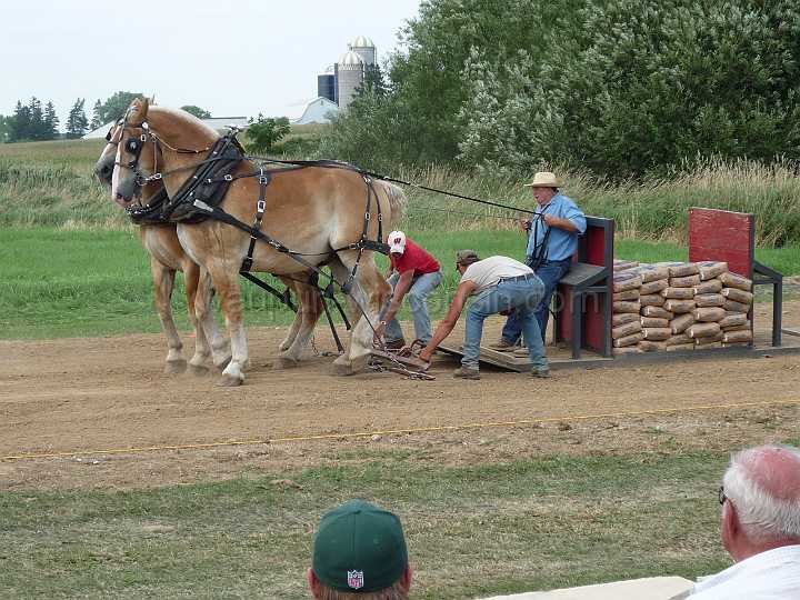alto-fair-horse-pull-2009-488