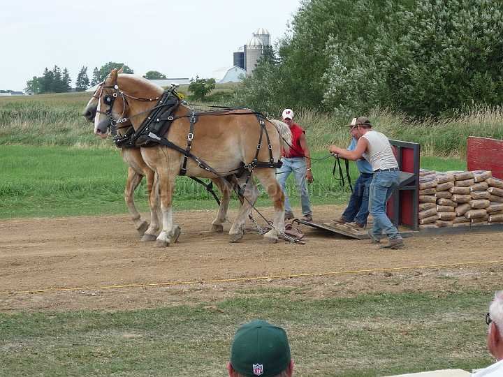 alto-fair-horse-pull-2009-489