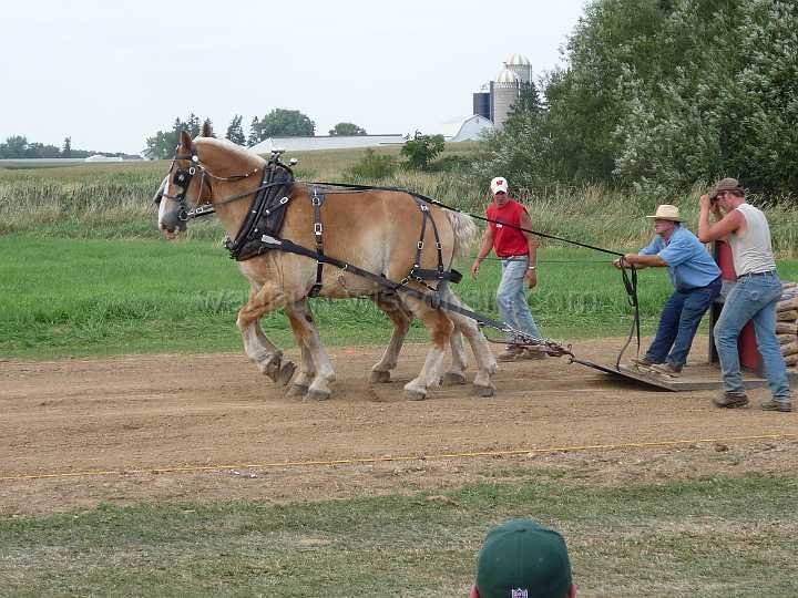 alto-fair-horse-pull-2009-490