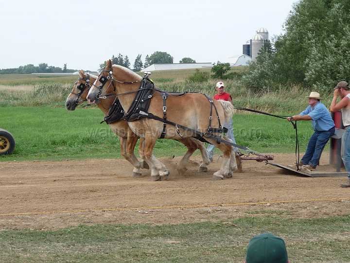alto-fair-horse-pull-2009-491