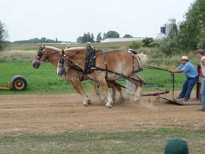 alto-fair-horse-pull-2009-492