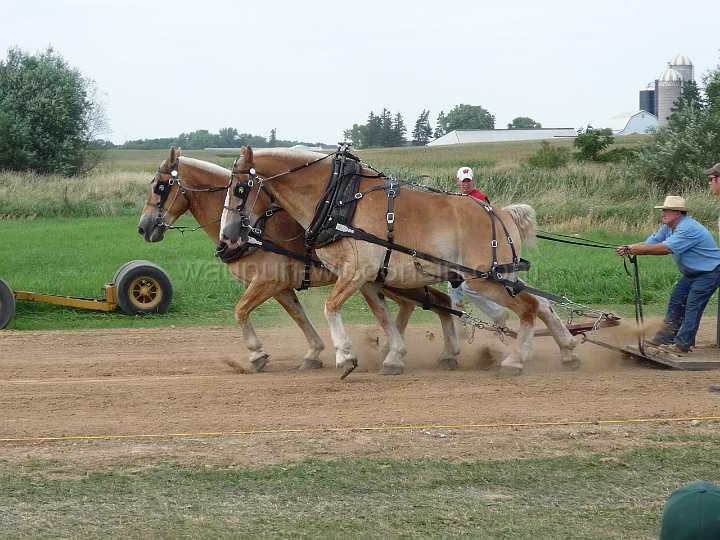 alto-fair-horse-pull-2009-493
