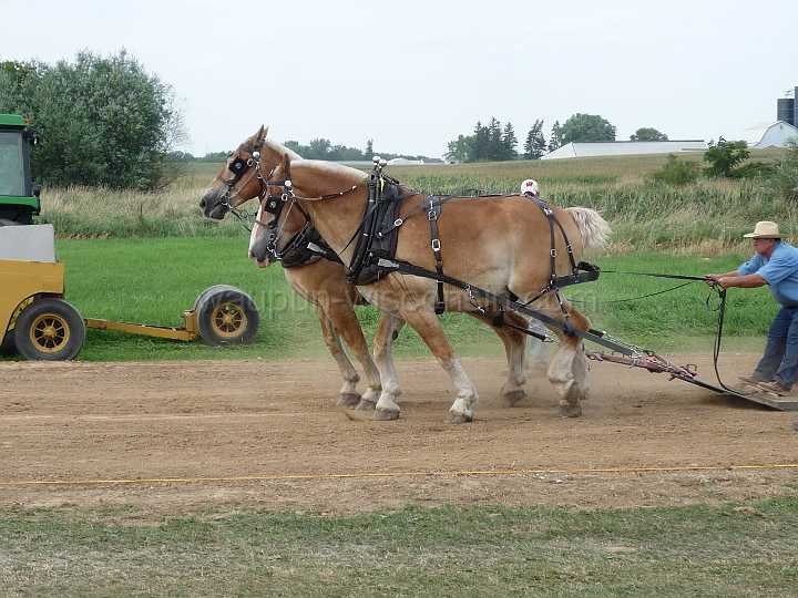 alto-fair-horse-pull-2009-494