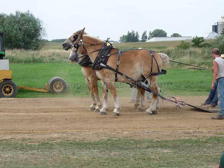 alto-fair-horse-pull-2009-495