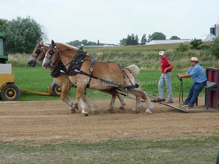 alto-fair-horse-pull-2009-499