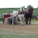 alto-fair-horse-pull-2009-406