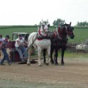alto-fair-horse-pull-2009-408