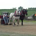 alto-fair-horse-pull-2009-410