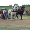 alto-fair-horse-pull-2009-412