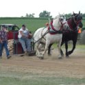alto-fair-horse-pull-2009-414