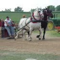 alto-fair-horse-pull-2009-415