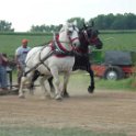 alto-fair-horse-pull-2009-416