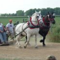 alto-fair-horse-pull-2009-418