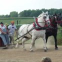 alto-fair-horse-pull-2009-419