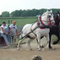 alto-fair-horse-pull-2009-420