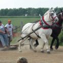 alto-fair-horse-pull-2009-421