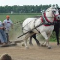 alto-fair-horse-pull-2009-422