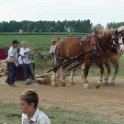 alto-fair-horse-pull-2009-425