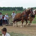 alto-fair-horse-pull-2009-427
