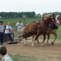alto-fair-horse-pull-2009-428