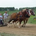 alto-fair-horse-pull-2009-429