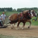 alto-fair-horse-pull-2009-430