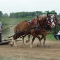 alto-fair-horse-pull-2009-433
