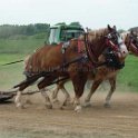 alto-fair-horse-pull-2009-436