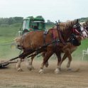 alto-fair-horse-pull-2009-437