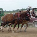 alto-fair-horse-pull-2009-441
