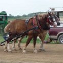 alto-fair-horse-pull-2009-445