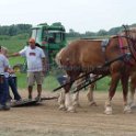 alto-fair-horse-pull-2009-447