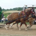 alto-fair-horse-pull-2009-452
