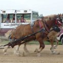 alto-fair-horse-pull-2009-455