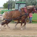 alto-fair-horse-pull-2009-459