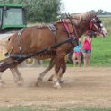 alto-fair-horse-pull-2009-461