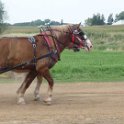 alto-fair-horse-pull-2009-463
