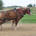 alto-fair-horse-pull-2009-465