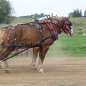 alto-fair-horse-pull-2009-466