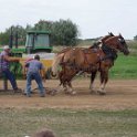 alto-fair-horse-pull-2009-470