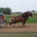 alto-fair-horse-pull-2009-473