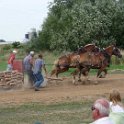 alto-fair-horse-pull-2009-481
