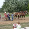 alto-fair-horse-pull-2009-483
