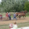 alto-fair-horse-pull-2009-484