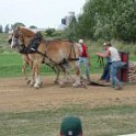 alto-fair-horse-pull-2009-489