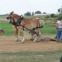 alto-fair-horse-pull-2009-496
