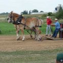 alto-fair-horse-pull-2009-497