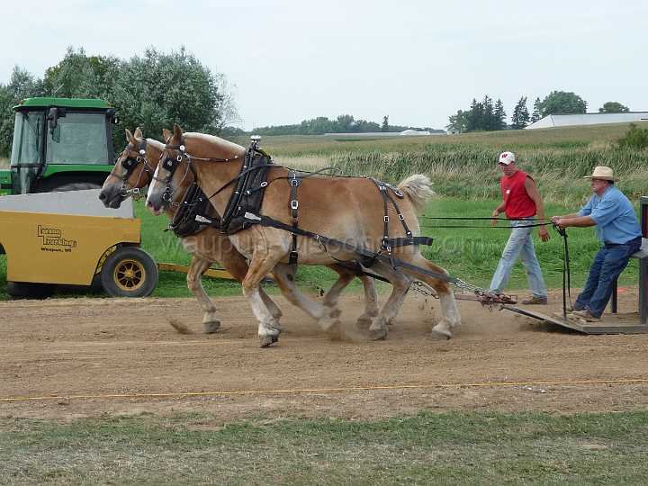 alto-fair-horse-pull-2009-500